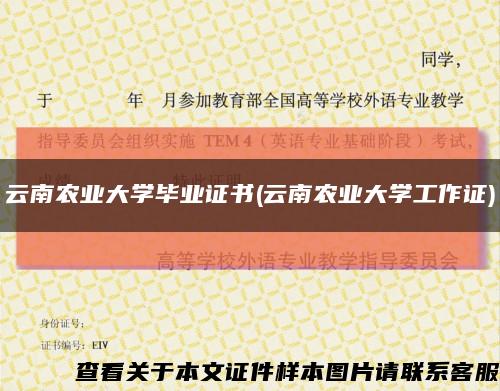 云南农业大学毕业证书(云南农业大学工作证)缩略图