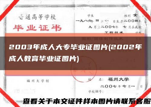 2003年成人大专毕业证图片(2002年成人教育毕业证图片)缩略图