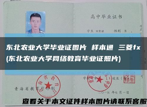 东北农业大学毕业证图片 样本通 三菱fx(东北农业大学网络教育毕业证照片)缩略图