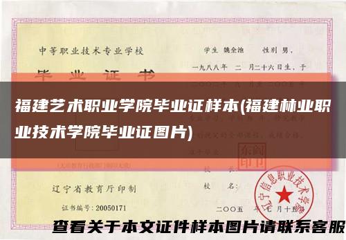 福建艺术职业学院毕业证样本(福建林业职业技术学院毕业证图片)缩略图