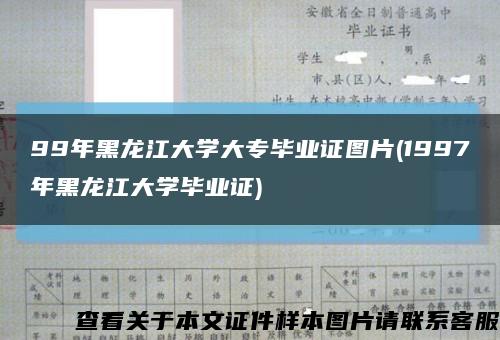 99年黑龙江大学大专毕业证图片(1997年黑龙江大学毕业证)缩略图