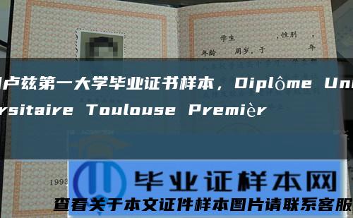 图卢兹第一大学毕业证书样本，Diplôme Universitaire Toulouse Première缩略图