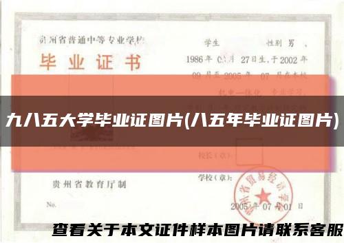 九八五大学毕业证图片(八五年毕业证图片)缩略图