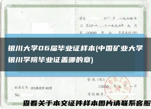 银川大学06届毕业证样本(中国矿业大学银川学院毕业证盖哪的章)缩略图