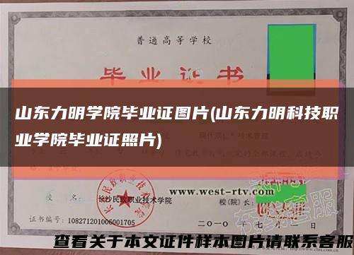 山东力明学院毕业证图片(山东力明科技职业学院毕业证照片)缩略图