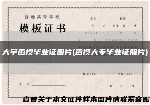 大学函授毕业证图片(函授大专毕业证照片)缩略图