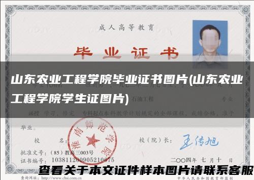 山东农业工程学院毕业证书图片(山东农业工程学院学生证图片)缩略图