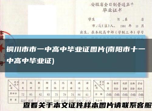 铜川市市一中高中毕业证图片(南阳市十一中高中毕业证)缩略图
