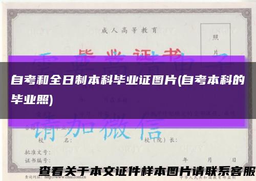 自考和全日制本科毕业证图片(自考本科的毕业照)缩略图