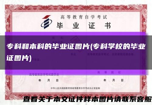 专科和本科的毕业证图片(专科学校的毕业证图片)缩略图