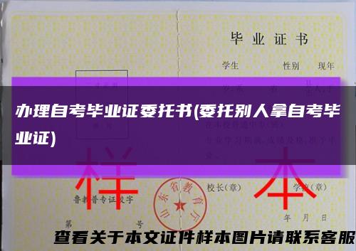 办理自考毕业证委托书(委托别人拿自考毕业证)缩略图