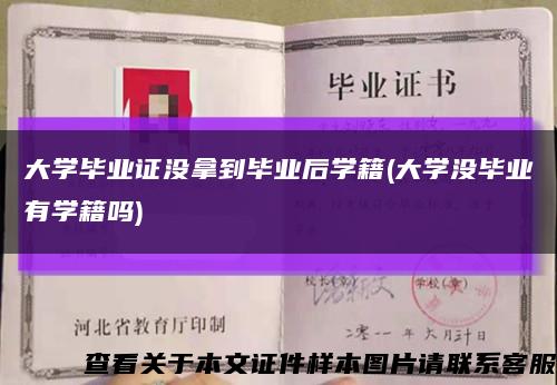 大学毕业证没拿到毕业后学籍(大学没毕业有学籍吗)缩略图