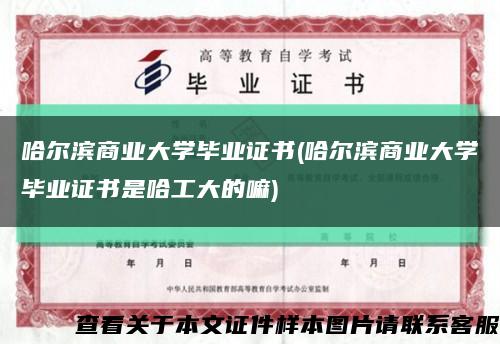 哈尔滨商业大学毕业证书(哈尔滨商业大学毕业证书是哈工大的嘛)缩略图