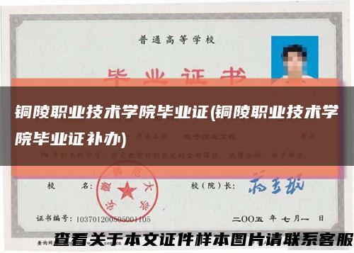 铜陵职业技术学院毕业证(铜陵职业技术学院毕业证补办)缩略图