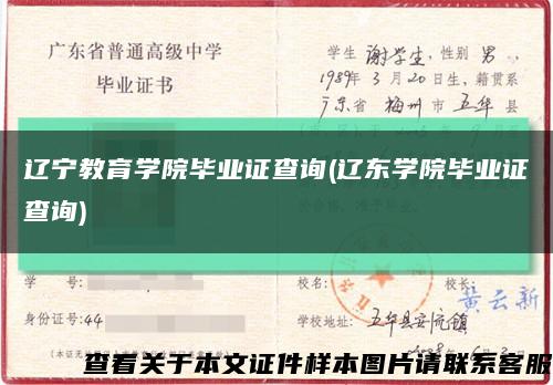 辽宁教育学院毕业证查询(辽东学院毕业证查询)缩略图