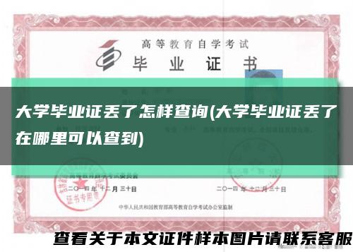 大学毕业证丢了怎样查询(大学毕业证丢了在哪里可以查到)缩略图