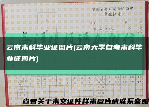 云南本科毕业证图片(云南大学自考本科毕业证图片)缩略图