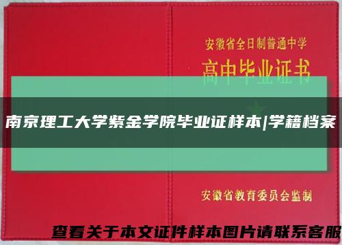 南京理工大学紫金学院毕业证样本|学籍档案缩略图