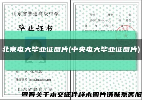 北京电大毕业证图片(中央电大毕业证图片)缩略图