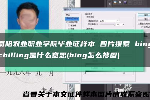 南阳农业职业学院毕业证样本 图片搜索 bingchilling是什么意思(bing怎么搜图)缩略图