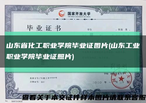 山东省化工职业学院毕业证图片(山东工业职业学院毕业证照片)缩略图