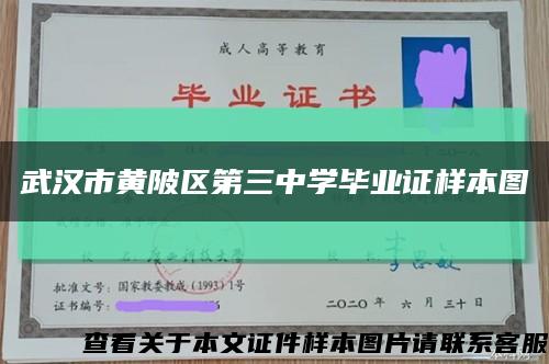 武汉市黄陂区第三中学毕业证样本图缩略图