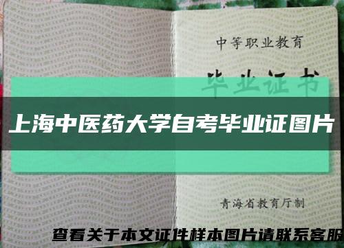 上海中医药大学自考毕业证图片缩略图