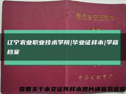 辽宁农业职业技术学院|毕业证样本|学籍档案缩略图