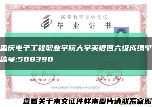 重庆电子工程职业学院大学英语四六级成绩单编号:508390缩略图