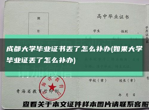 成都大学毕业证书丢了怎么补办(如果大学毕业证丢了怎么补办)缩略图
