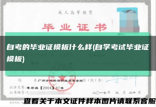自考的毕业证模板什么样(自学考试毕业证模板)缩略图