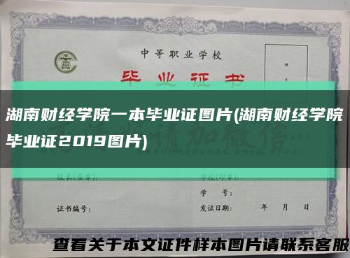 湖南财经学院一本毕业证图片(湖南财经学院毕业证2019图片)缩略图