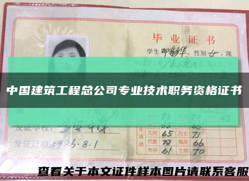 中国建筑工程总公司专业技术职务资格证书缩略图