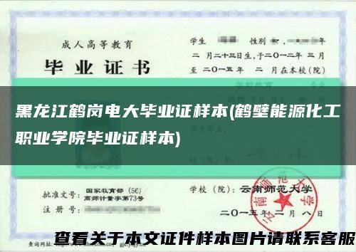黑龙江鹤岗电大毕业证样本(鹤壁能源化工职业学院毕业证样本)缩略图