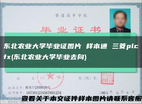 东北农业大学毕业证图片 样本通 三菱plcfx(东北农业大学毕业去向)缩略图
