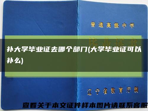 补大学毕业证去哪个部门(大学毕业证可以补么)缩略图