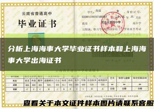 分析上海海事大学毕业证书样本和上海海事大学出海证书缩略图