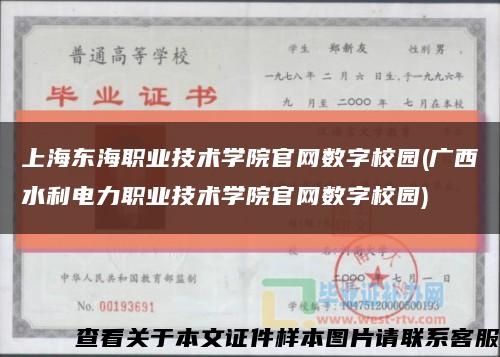 上海东海职业技术学院官网数字校园(广西水利电力职业技术学院官网数字校园)缩略图
