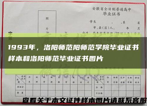 1993年，洛阳师范阳师范学院毕业证书样本和洛阳师范毕业证书图片缩略图