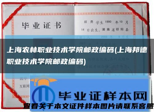 上海农林职业技术学院邮政编码(上海邦德职业技术学院邮政编码)缩略图