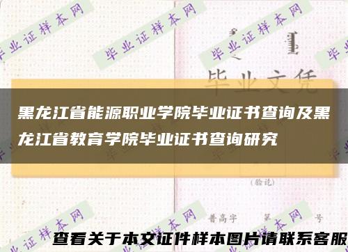 黑龙江省能源职业学院毕业证书查询及黑龙江省教育学院毕业证书查询研究缩略图