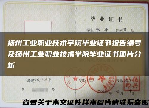 扬州工业职业技术学院毕业证书报告编号及扬州工业职业技术学院毕业证书图片分析缩略图