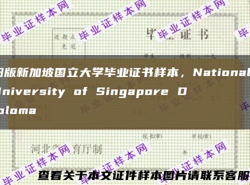 旧版新加坡国立大学毕业证书样本，National University of Singapore Diploma缩略图