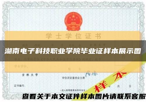 湖南电子科技职业学院毕业证样本展示图缩略图
