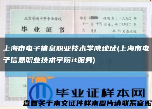 上海市电子信息职业技术学院地址(上海市电子信息职业技术学院it服务)缩略图