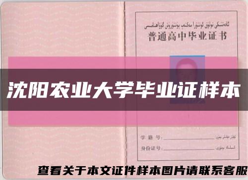 沈阳农业大学毕业证样本缩略图
