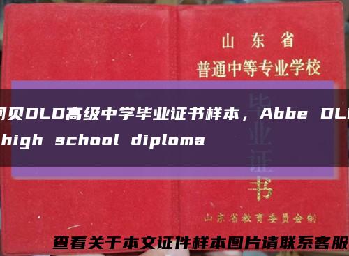 阿贝DLD高级中学毕业证书样本，Abbe DLD high school diploma缩略图