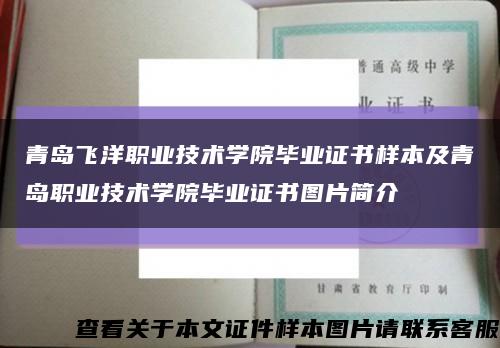 青岛飞洋职业技术学院毕业证书样本及青岛职业技术学院毕业证书图片简介缩略图