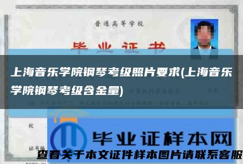 上海音乐学院钢琴考级照片要求(上海音乐学院钢琴考级含金量)缩略图