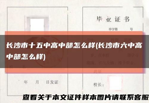 长沙市十五中高中部怎么样(长沙市六中高中部怎么样)缩略图